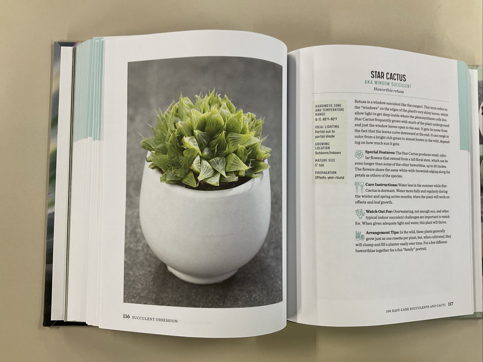 Succulent Obsession Complete Guide by Ken Shelf HC 2022 Rockridge Press