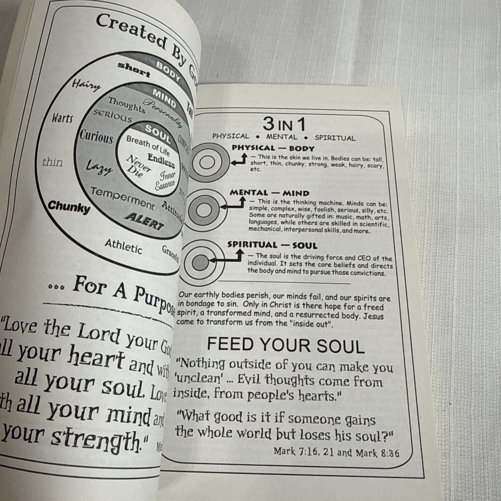 The Illustrated Bible – New Testament – Paperback By NIrV The Salvation Army