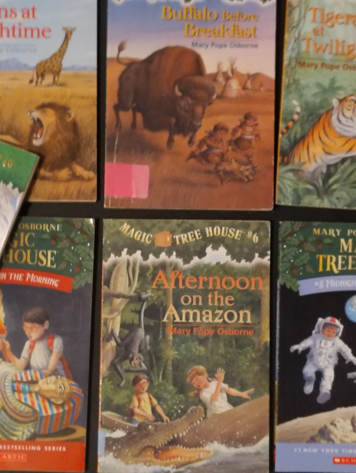 Magic Tree House by Mary Pope Osborne, Children’s PB Books -Lot of 11