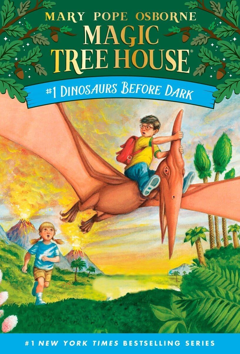 MAGIC TREE HOUSE ~ You Choose ~ Build your own book lot ~ teacher