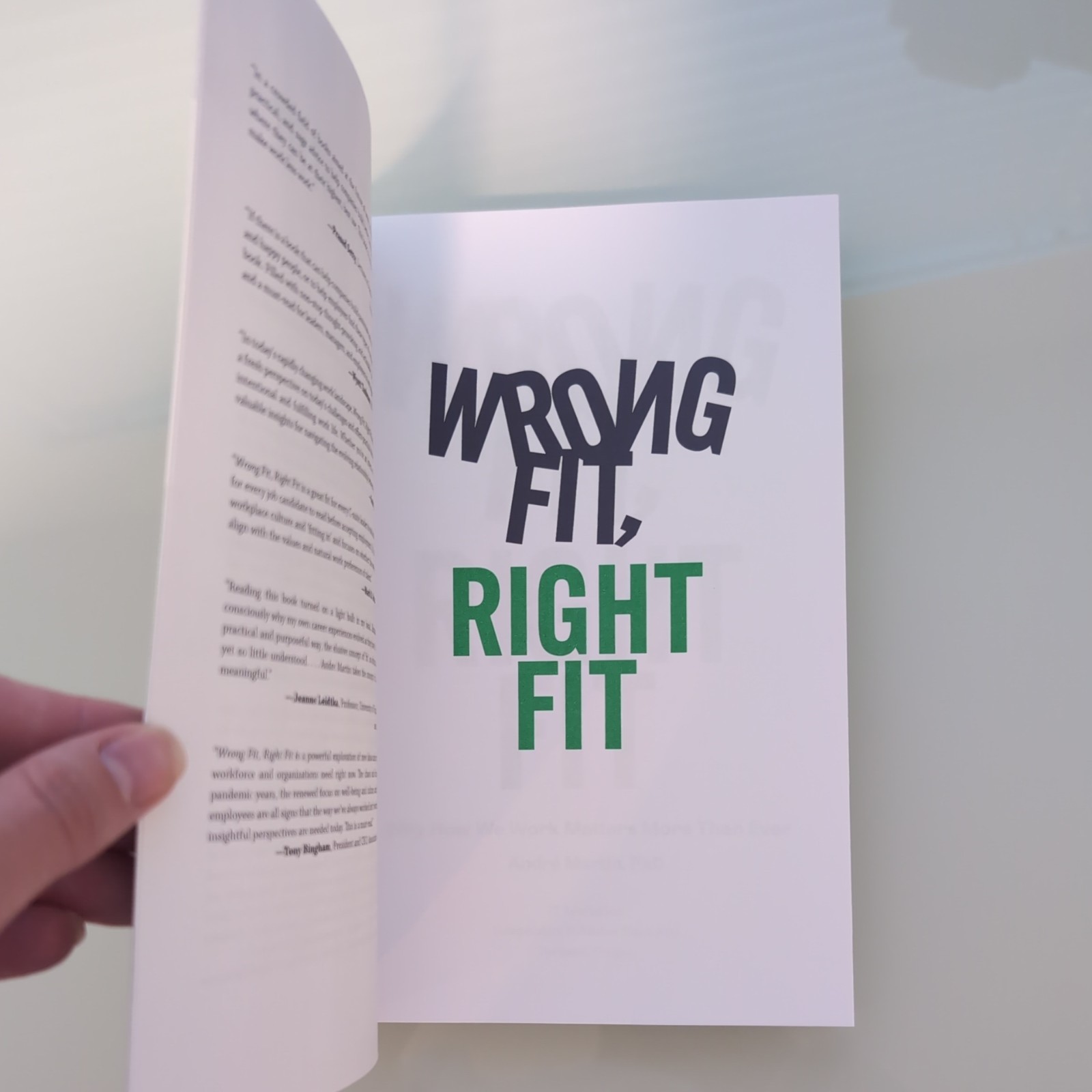 Wrong Fit, Right Fit: Why How We Work Matters More Than Ever – Paperback – NEW