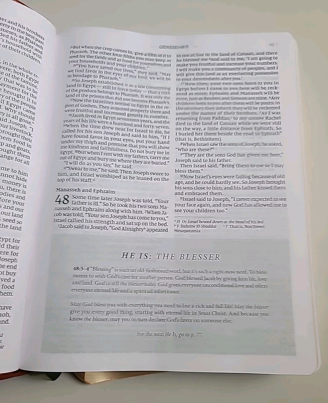Flourish: The NIV Bible for Women, Leathersoft, Brown
