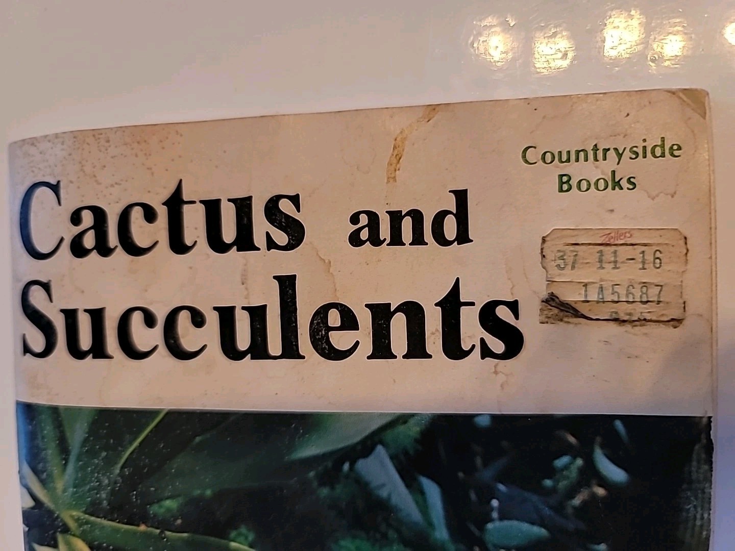 Cactus And Succulents Countryside Books 1976 Edition