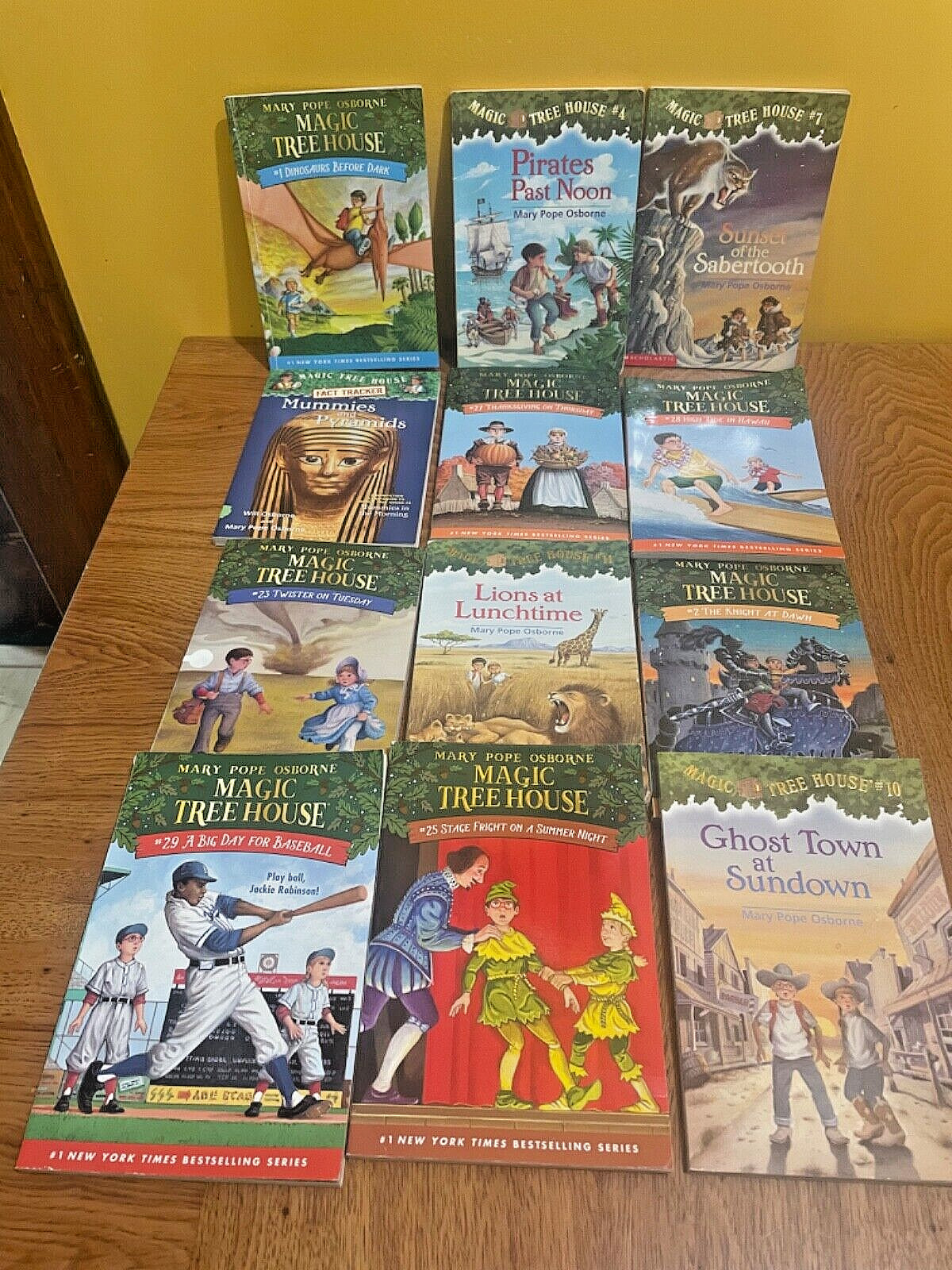 Random Lot of 12 Magic Tree House Books Mary Pope Osborne