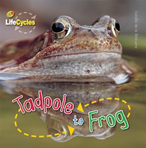 Tadpole to Frog Library Binding Camilla de la Bedoyere