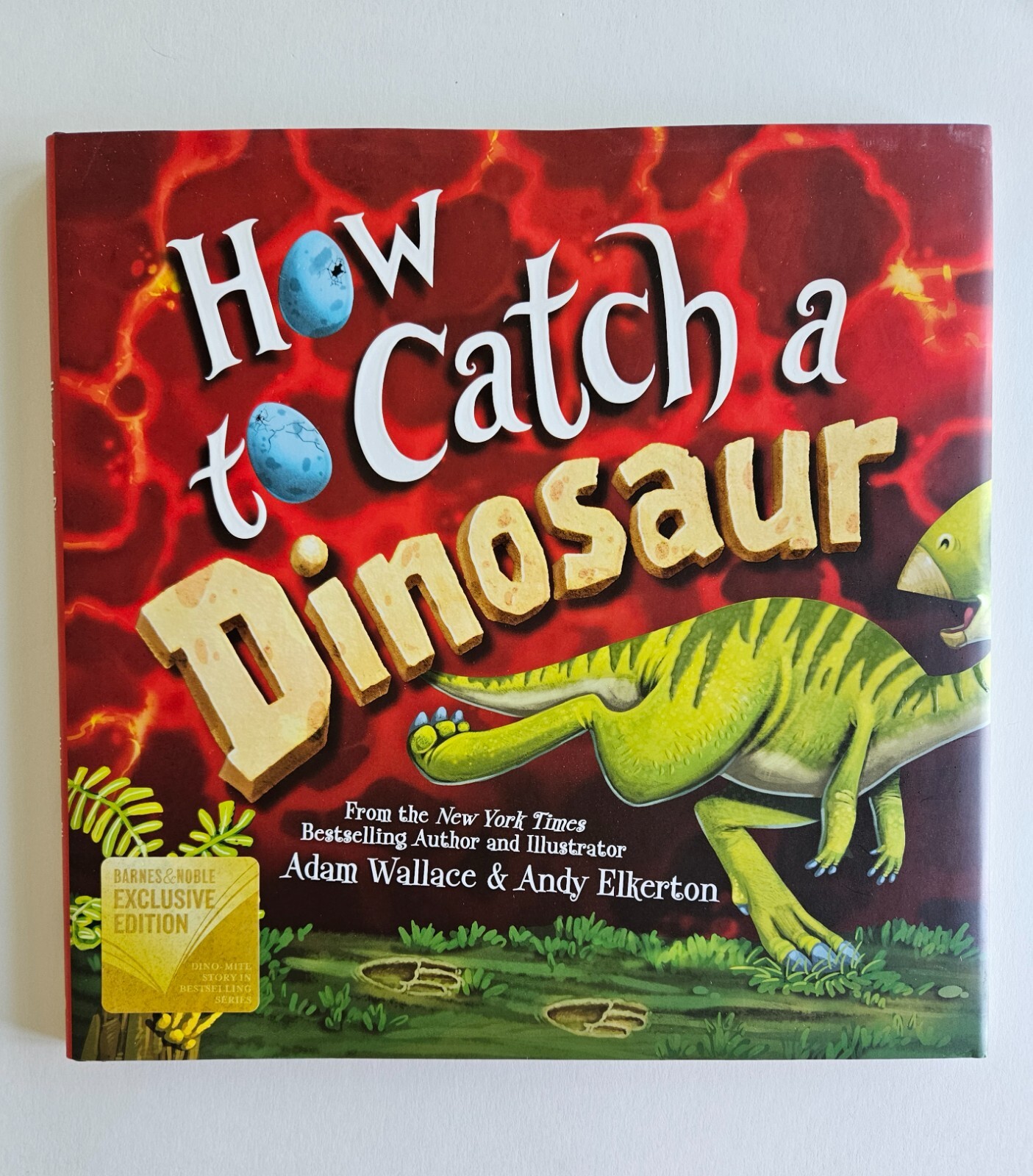 How to Catch a Dinosaur Barnes and Noble Exclusive Hardcover Book