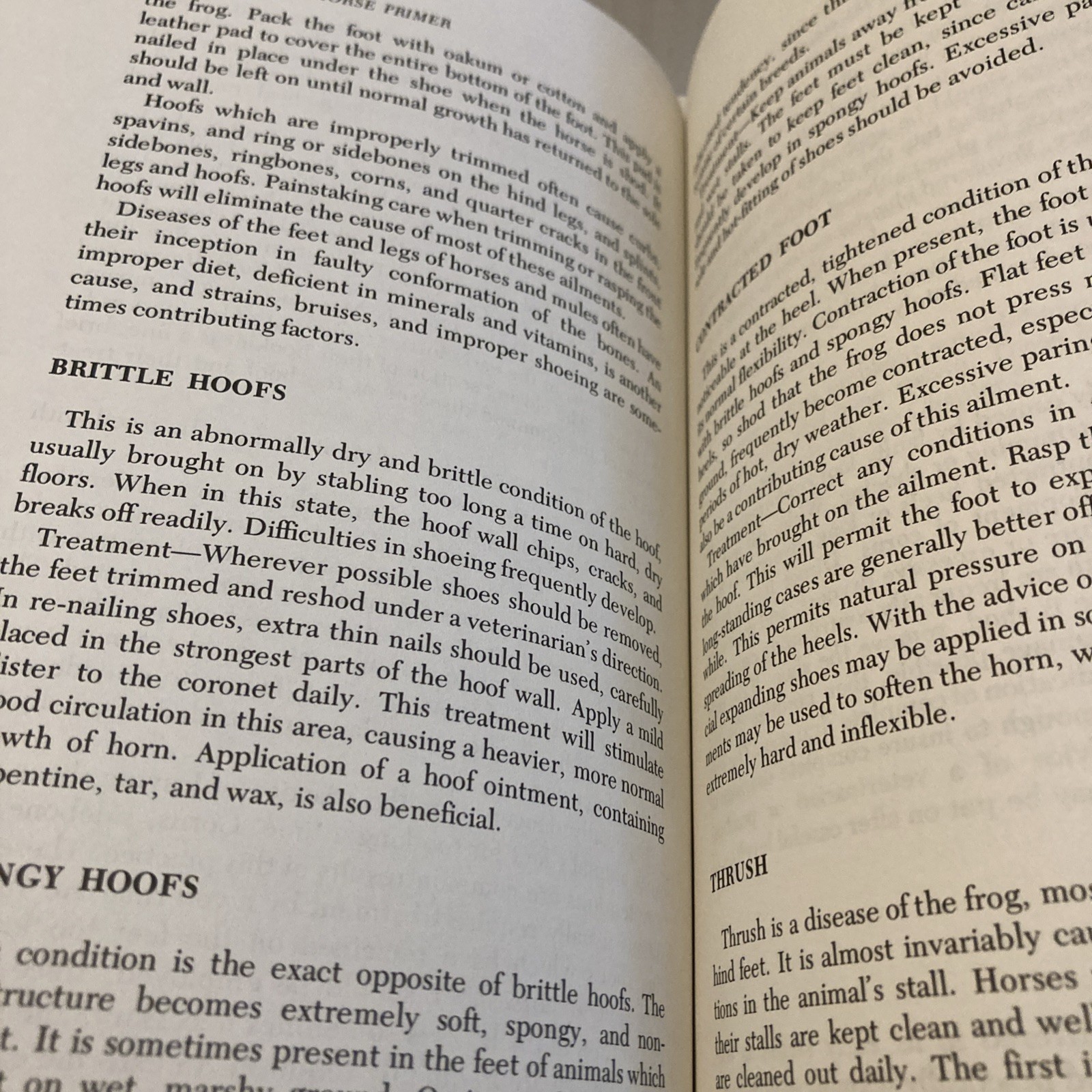 The Draft Horse Primer by Maurice Tellen 1977 Paperback 392 Pages