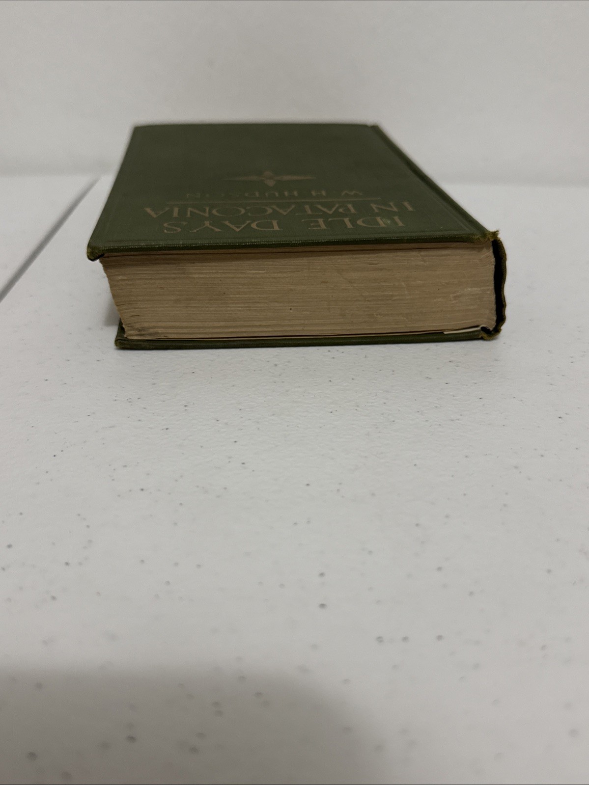 Idle Days in Patagonia by W.H. Hudson-First American Edition-1917