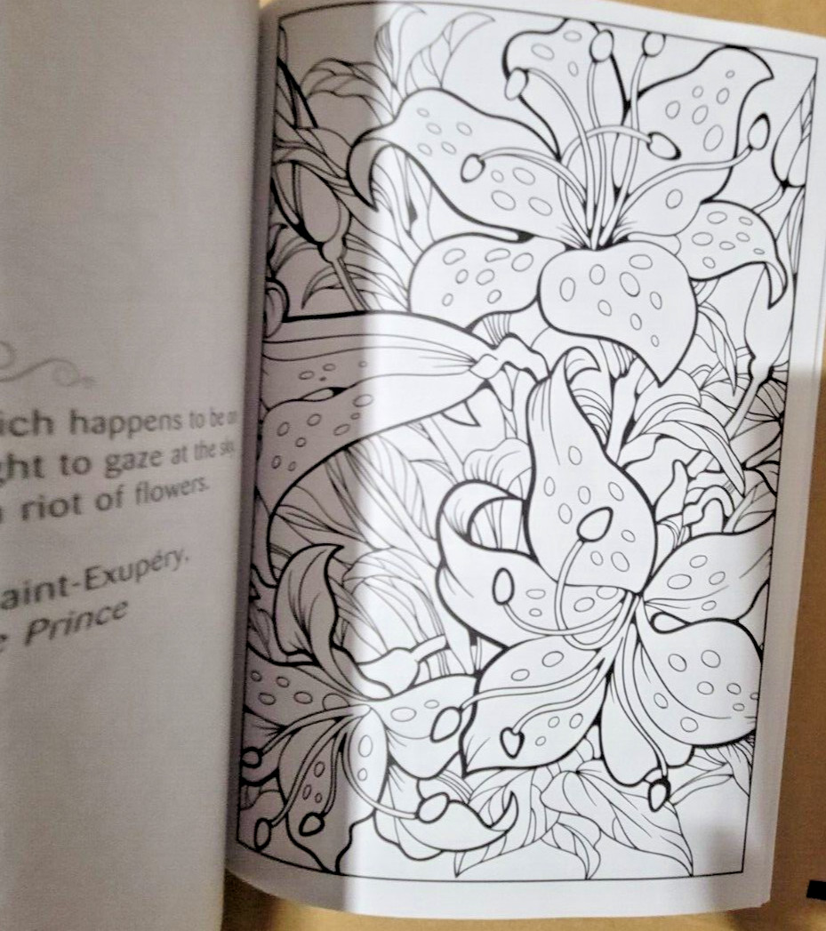 FLYING COLORS – Let Your Imagination Take Flight!- Vol. 23 -Adult Coloring Book