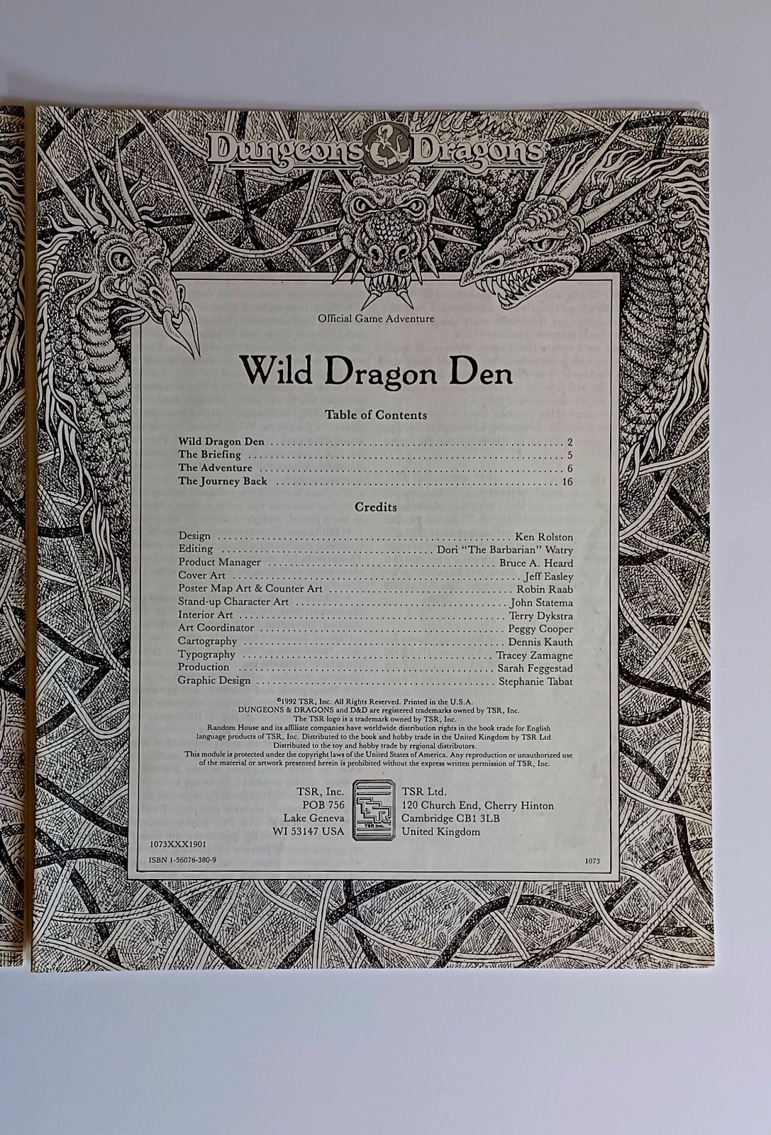 TSR Dungeons Dragons League Of The Red Serpent & Wild Dragon Den Adventure