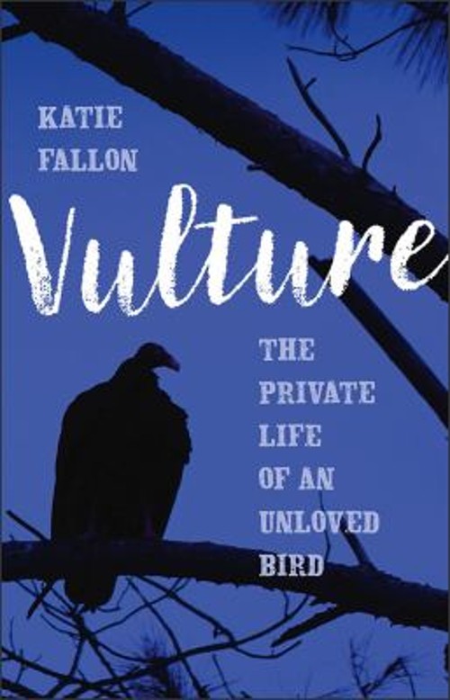 Vulture : The Private Life of an Unloved Bird Hardcover Katie Fal