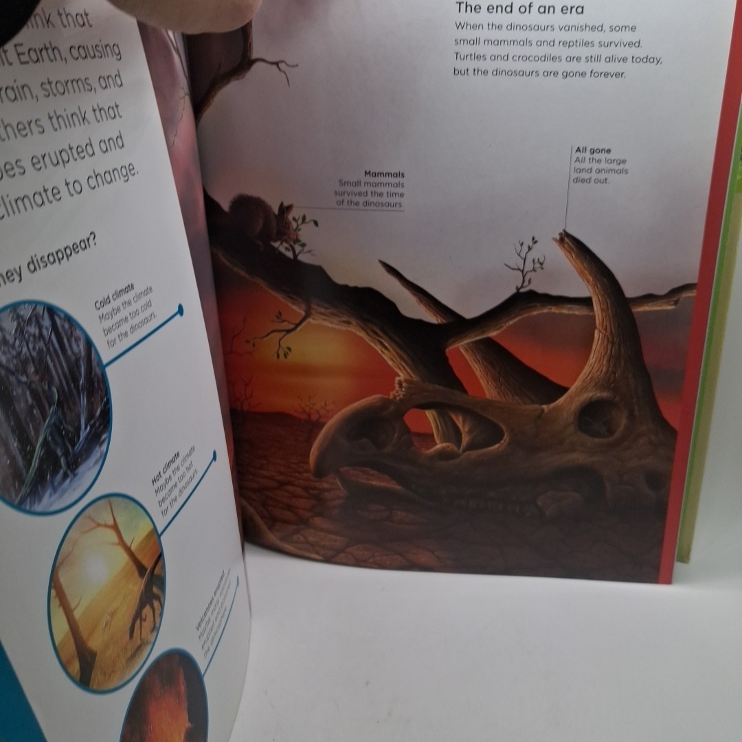 MY FIRST ENCYCLOPEDIA OF DINOSAURS by denise-ryan Book The Fast Free Shipping
