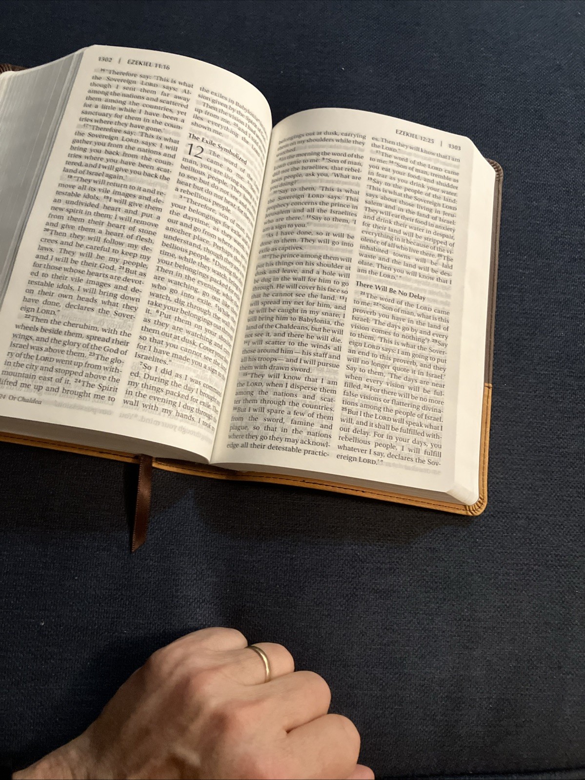 Holy Bible NIV Pew Bible, Large Print, 2009 Zondervan, Amber Duo-Tone Leather