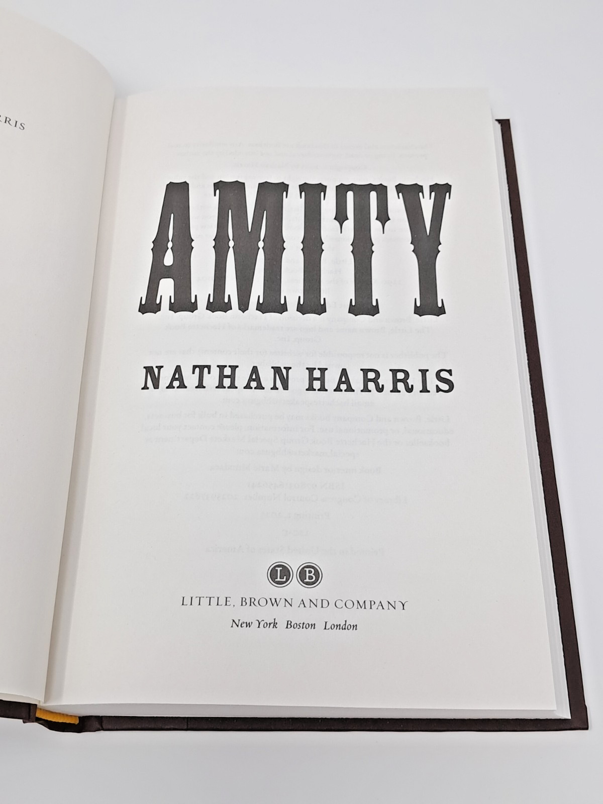 Amity by Nathan Harris (2025, Hardcover) American Historical Fiction novel