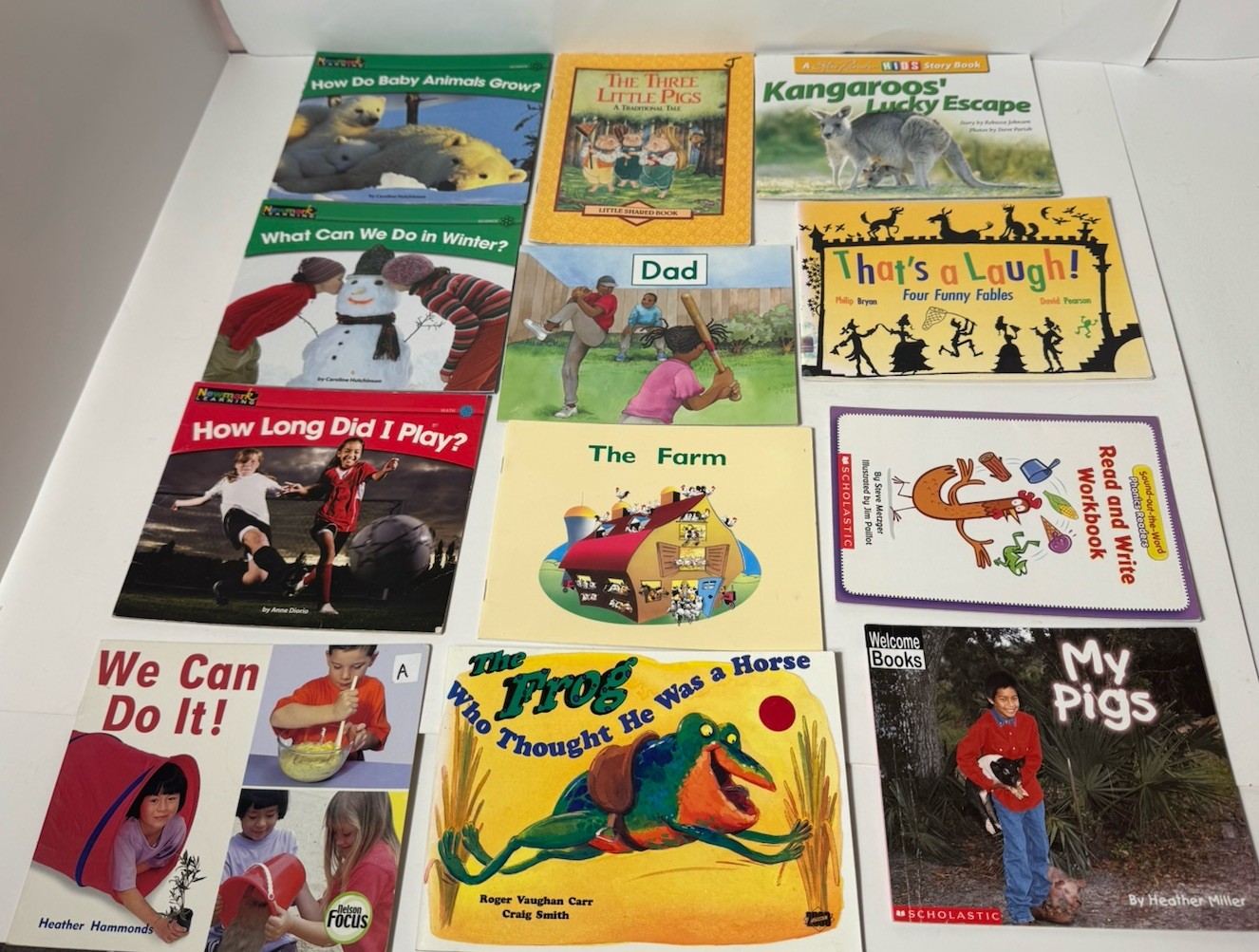 Newmark Learning Dynamics Readers I Can Read About Phonics Easy Read Child Lot