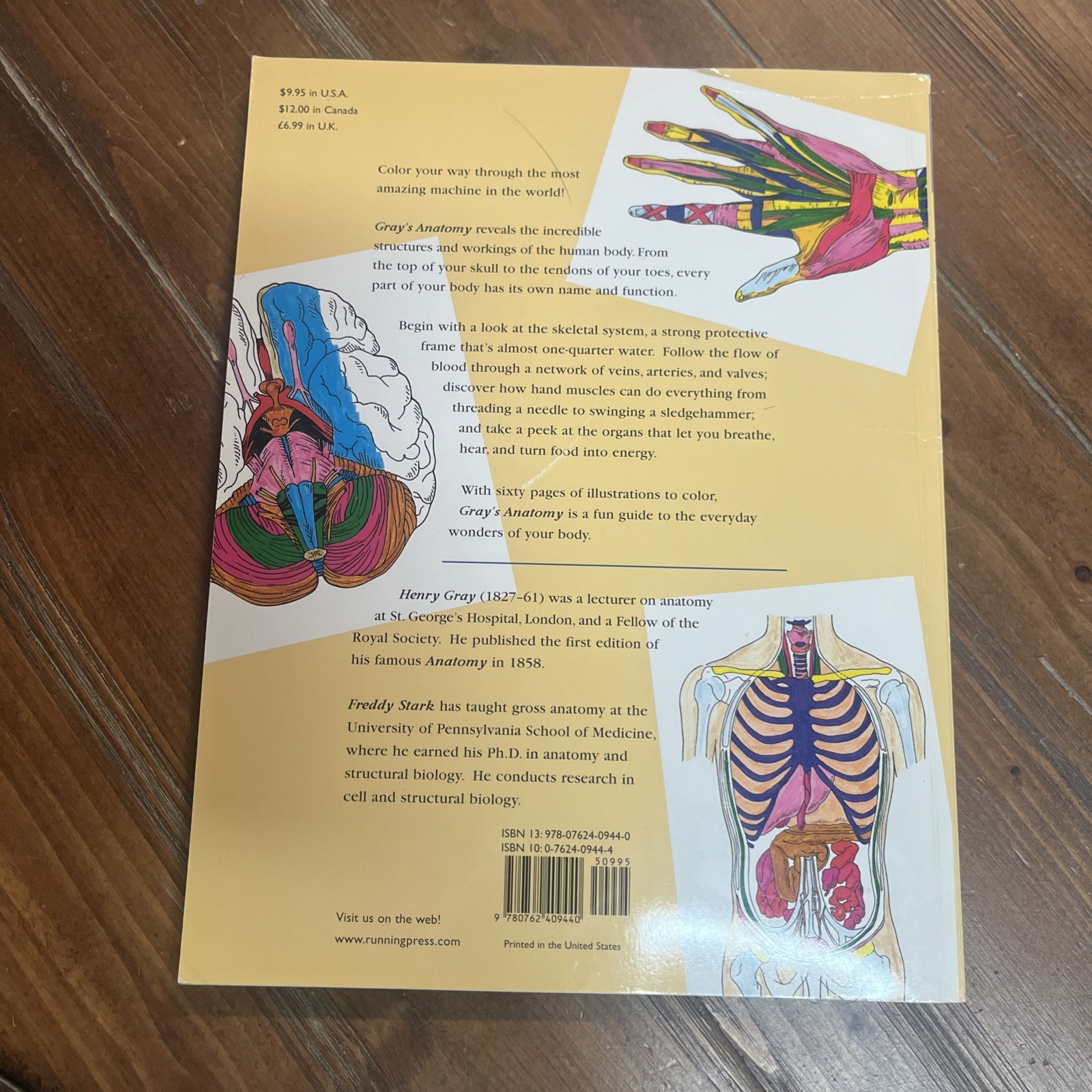 Lot Of 6 Inside Your Body Usborne Dover Coloring Book Set Human Children