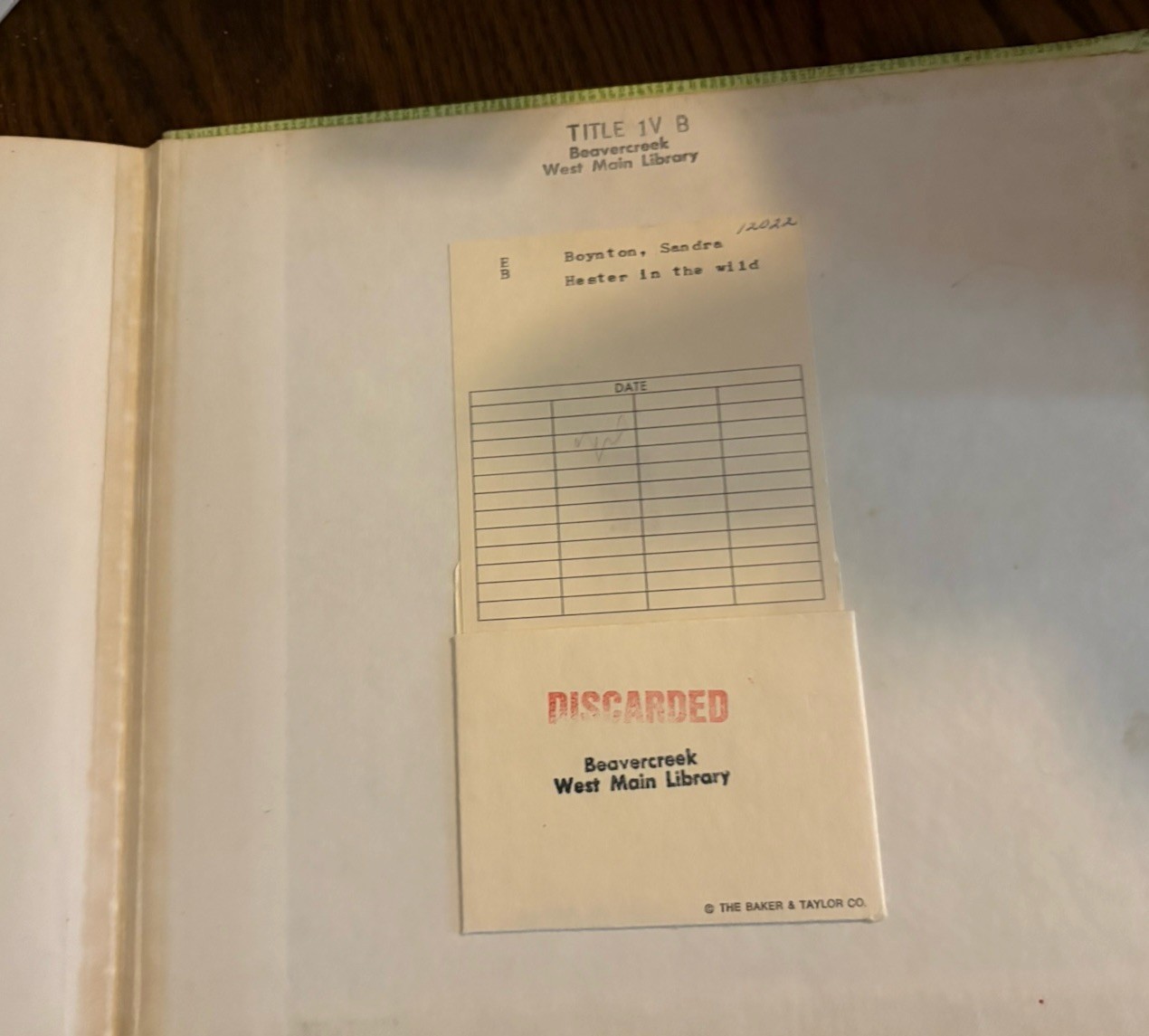 Hester in the Wild Sandra Boynton 1979 Hardcover Harper Row 1st Edition Vtg