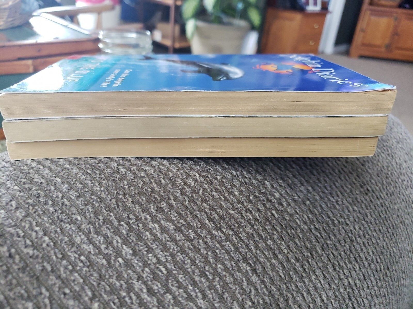 Lot of 3 Dolphin Diaries By Ben M. Baglio Scholastic Books: #1, 6, 7