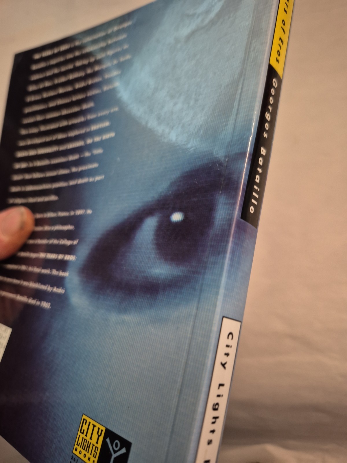Tears of Eros by Georges Bataille TPB French Philosophy Violence Horror Abject