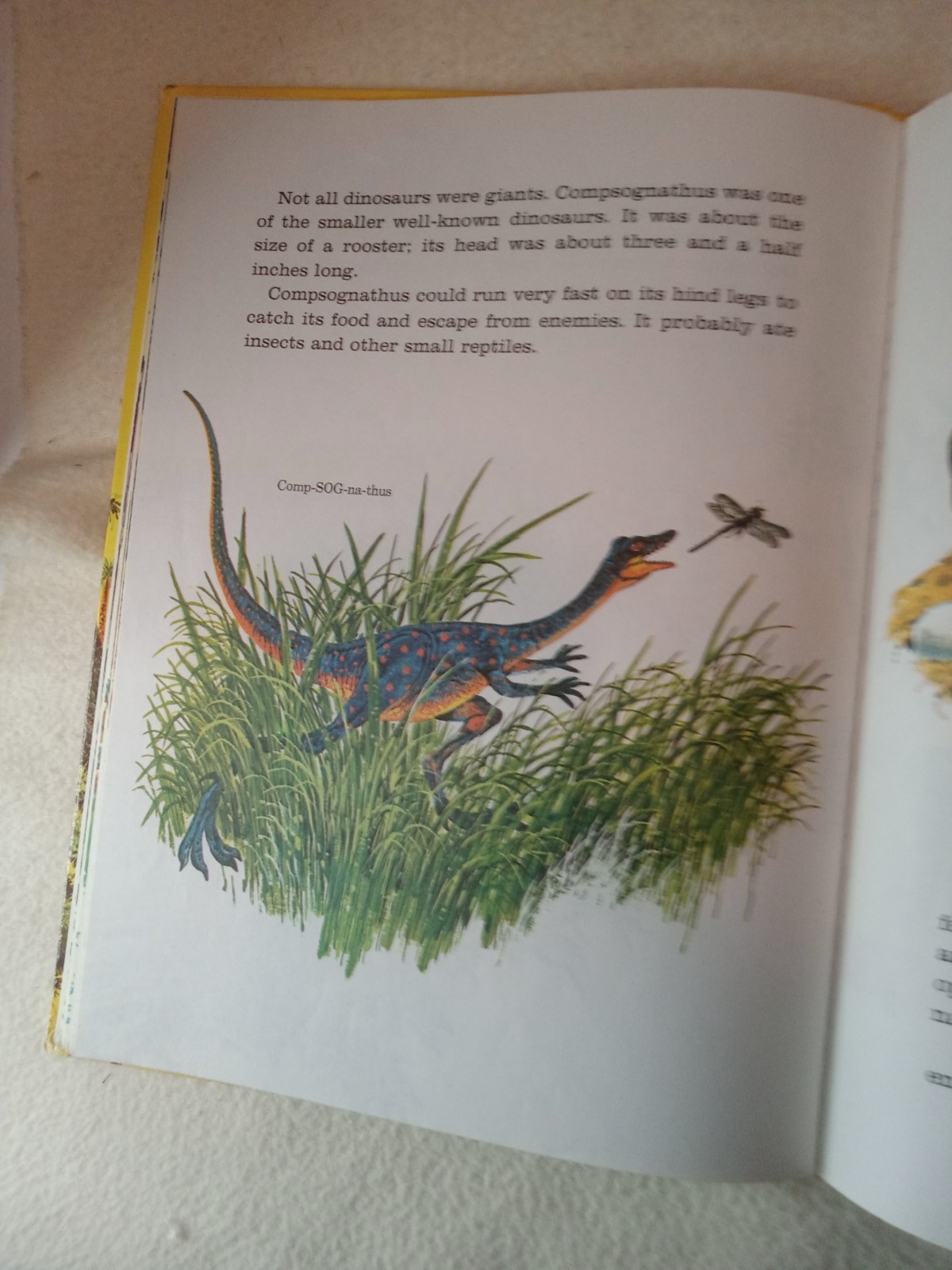 Dinosaurs Giants of the Past by Eileen Daly HC 1976 A Golden Book 12.5 x 9.5 inc