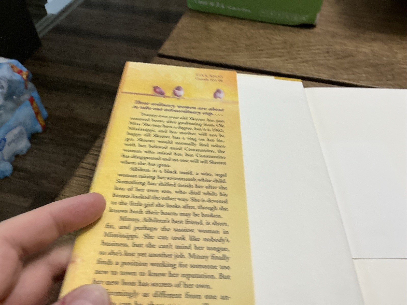 2009 Hardback Book w/Dust Jacket Kathryn Stockett – “The Help”