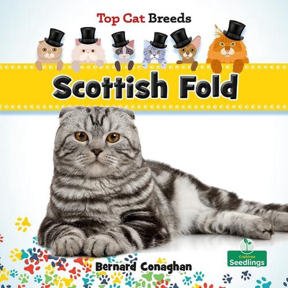 Scottish Fold by Bernard Conaghan Hardcover Book