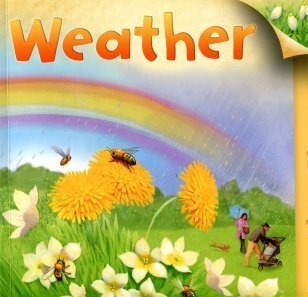 Weather (Flip The Flaps) – paperback unknown author