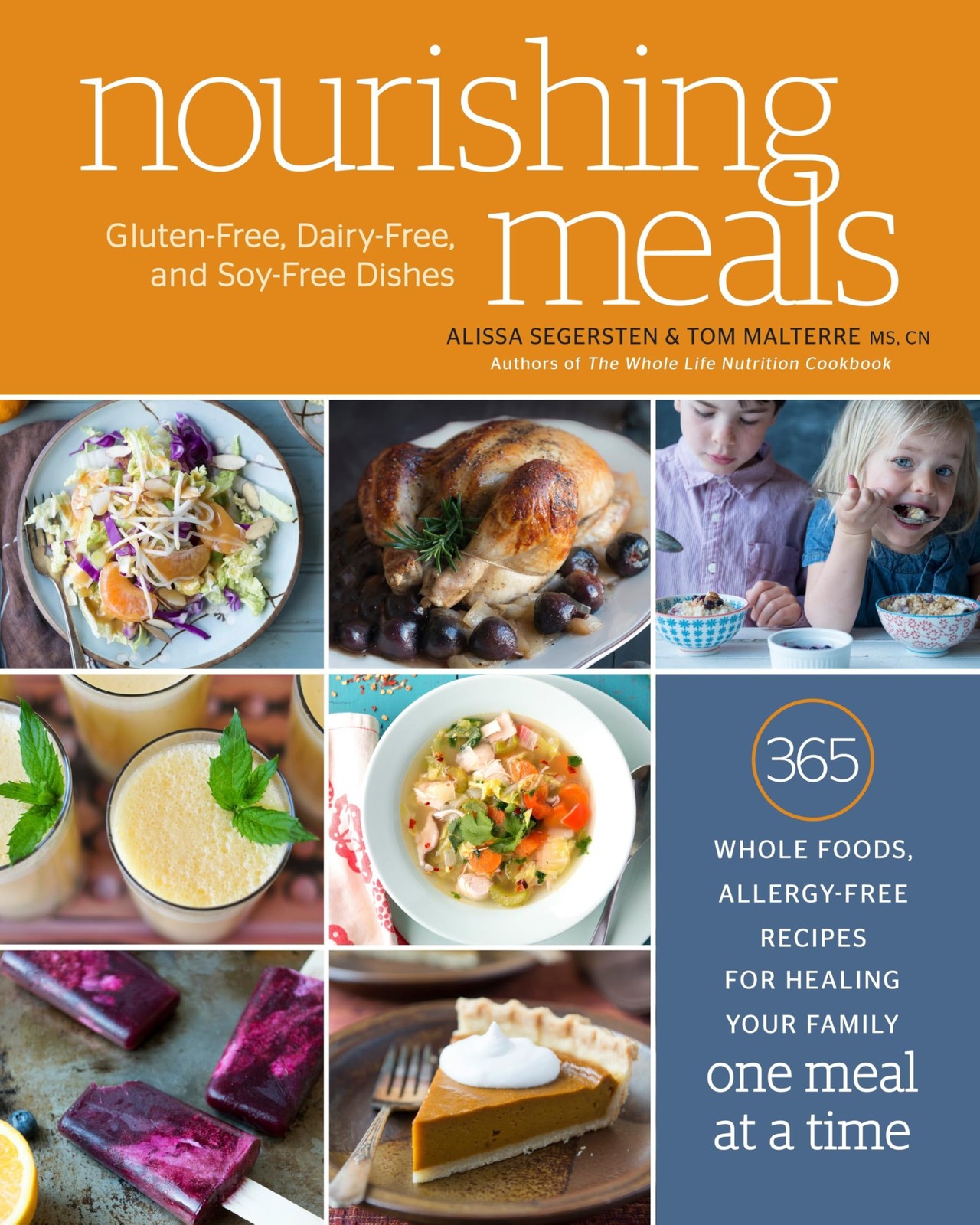 Nourishing Meals: 365 Whole Foods, Allergy-Free Recipes for Healing Your Family,