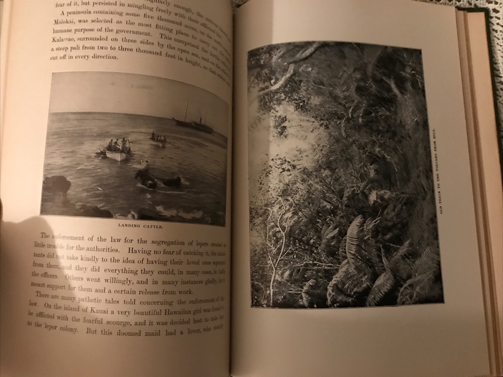 Hawaii Book 1910 The New America and The Far East. Volume 1. 193 Pages – VG