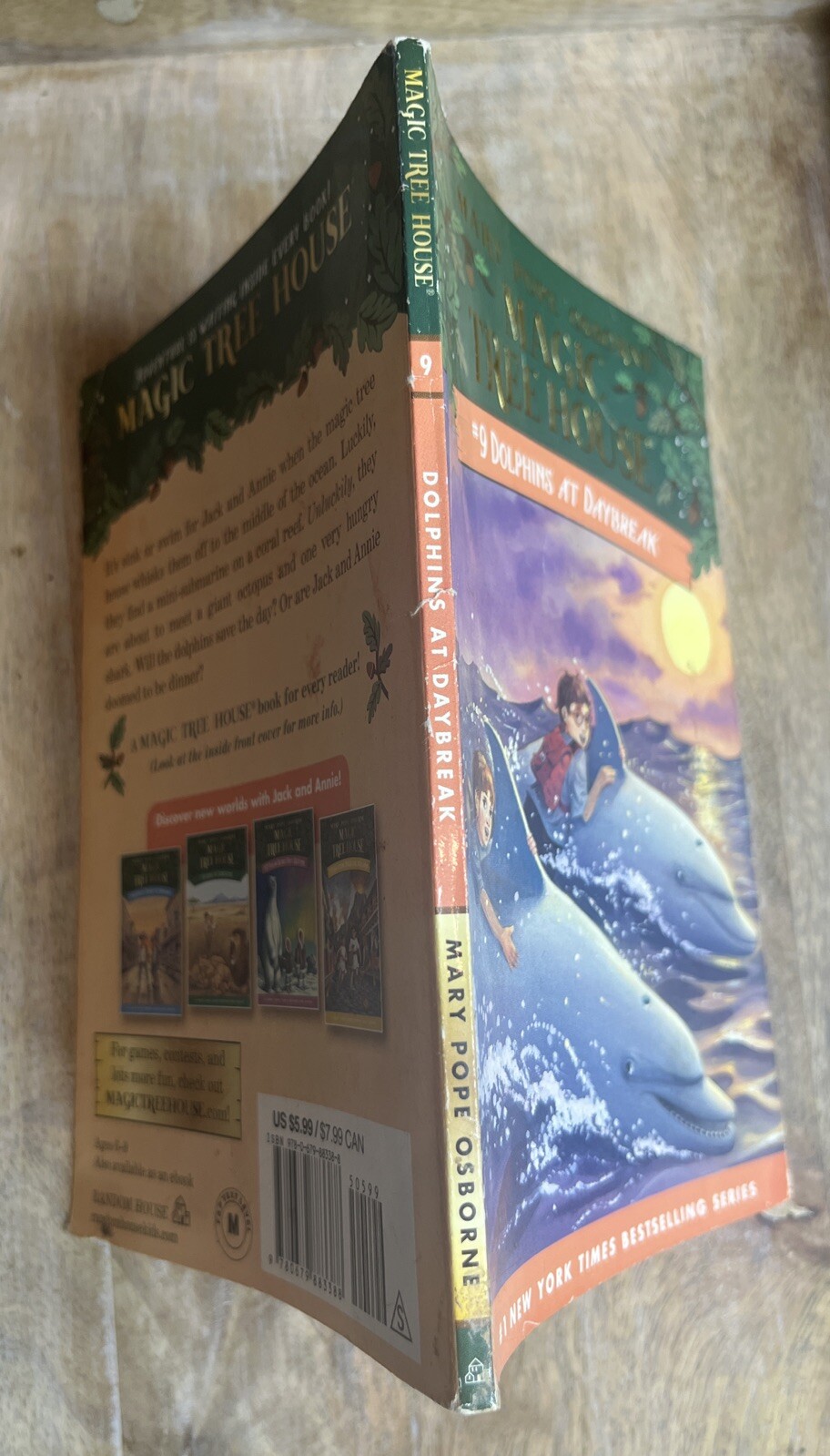 Dolphins at Daybreak (Magic Tree House, No. 9)