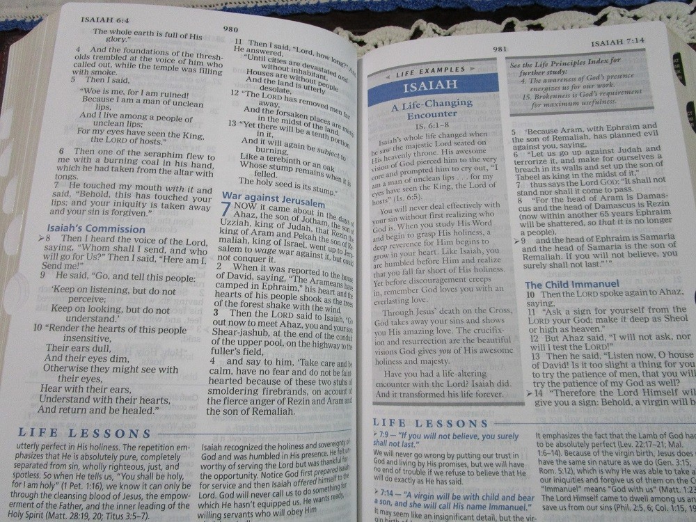 NASB Charles Stanley Life Principles Bible- Large Print INDEXED Burgundy LS-RARE