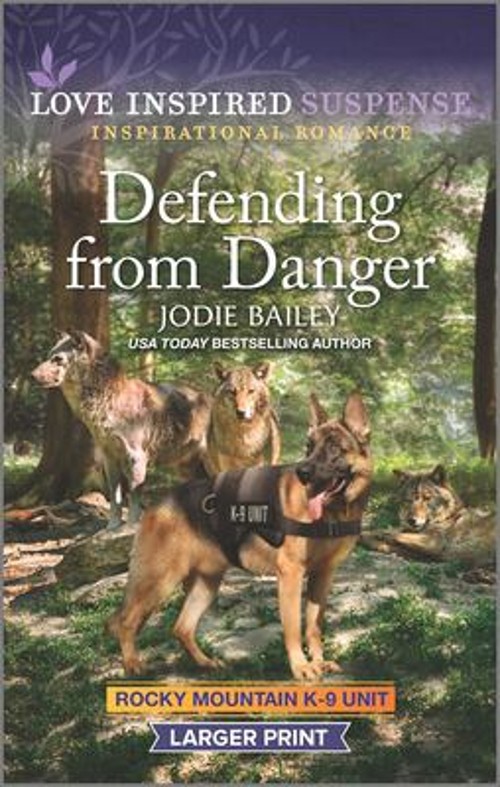 Defending from Danger Mass Market Paperbound Jodie Bailey