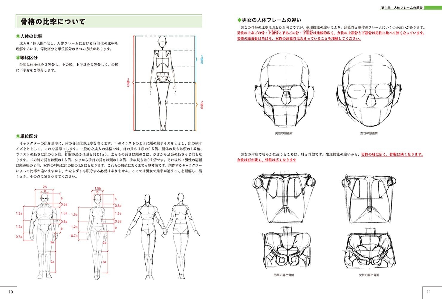 Master Guide to Drawing the Human Body : Character Drawing from the Basics Japan