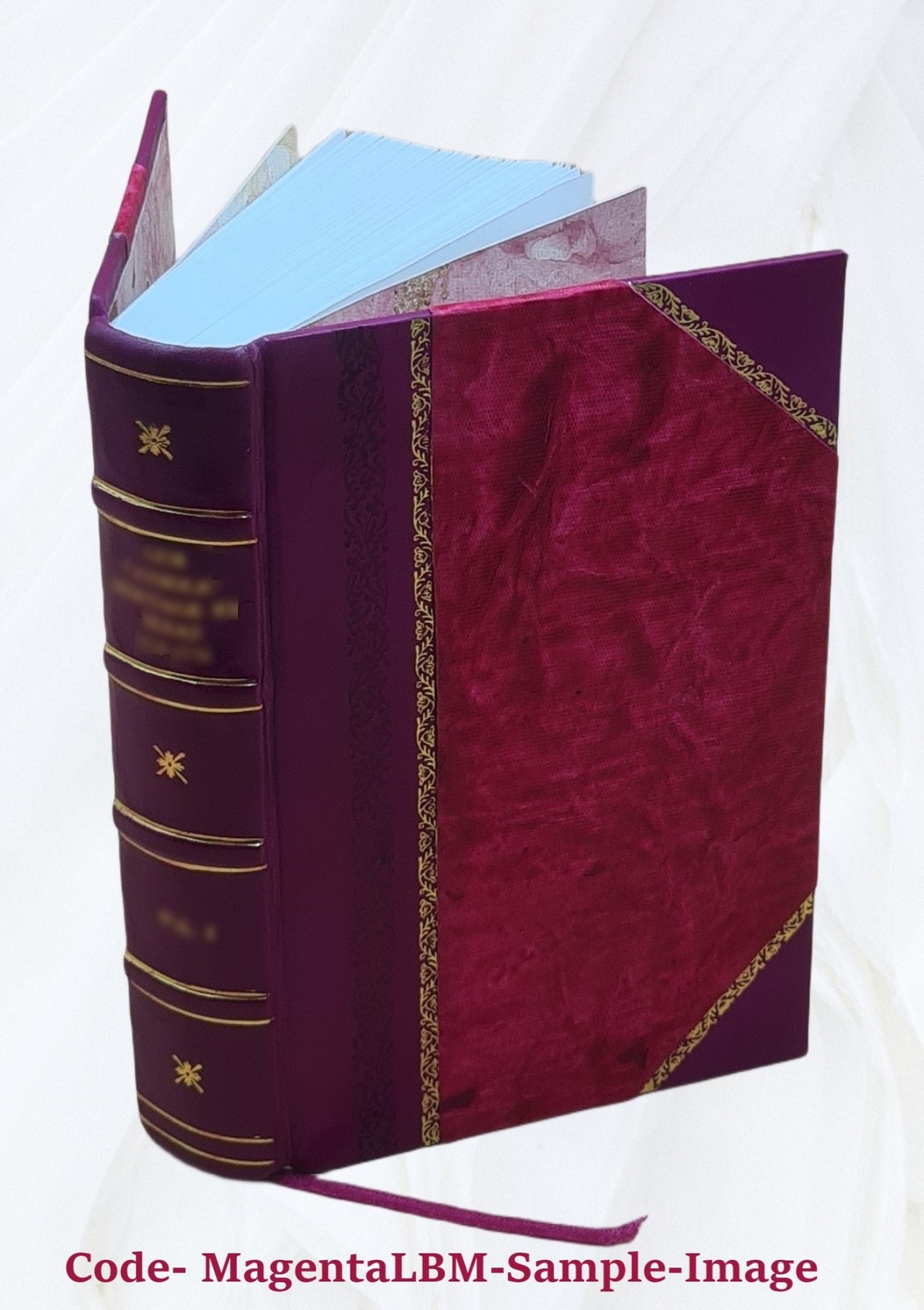 The Christian Warfare 1604 By Downame, John [Leather Bound]