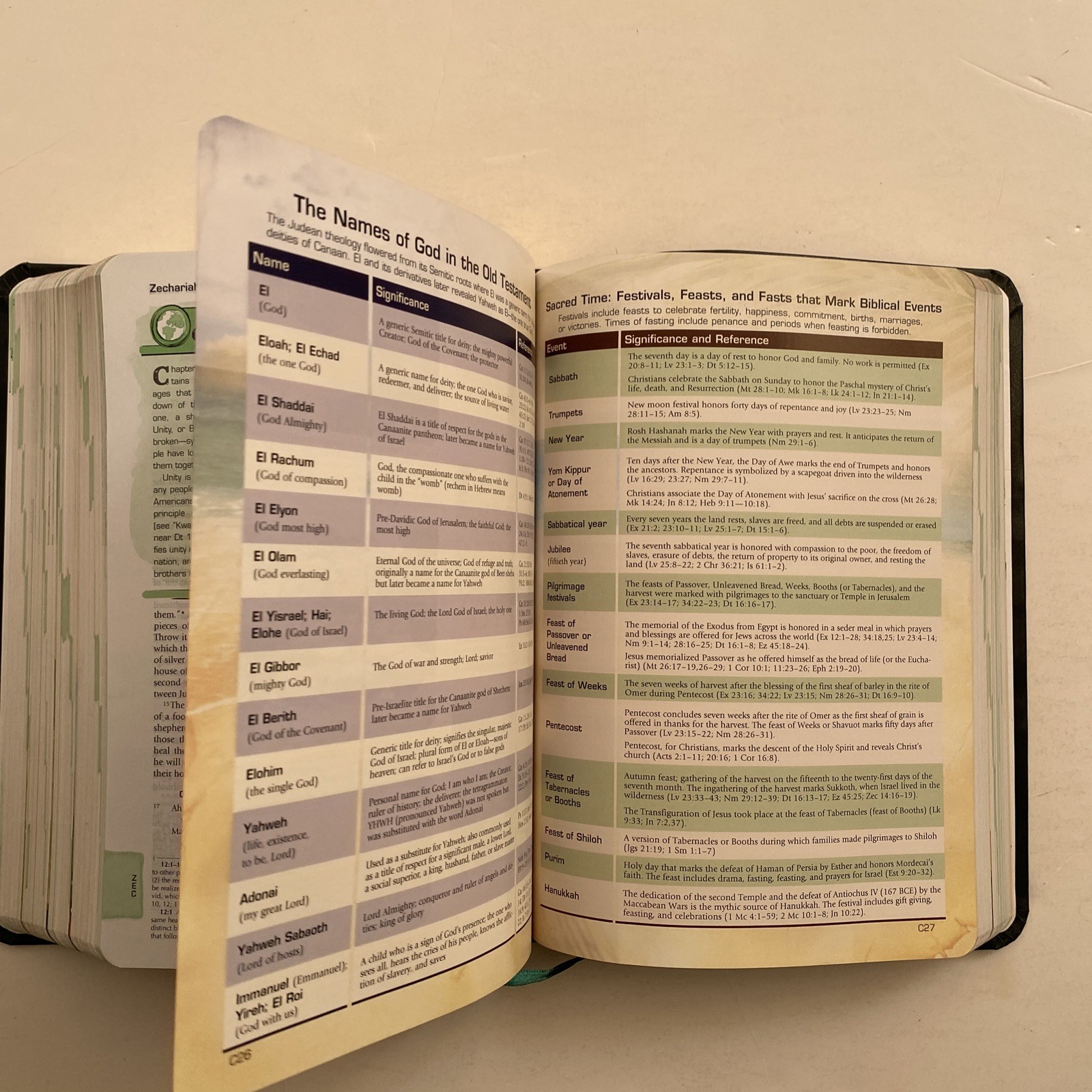 The Catholic Youth Bible Leatherette 3rd Edition St Mary’s Press 2012