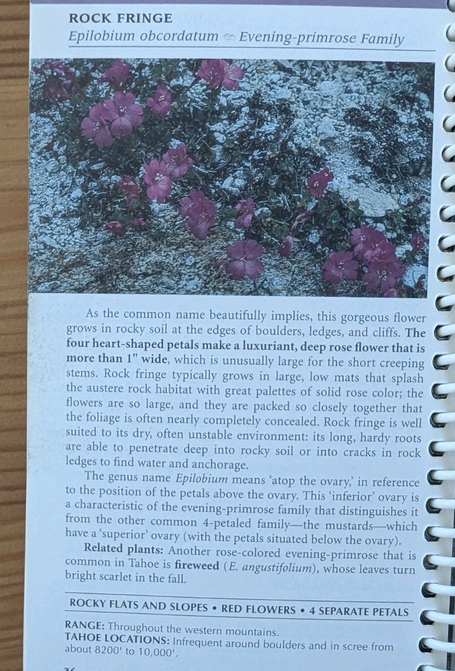 Wildflowers Of The Tahoe Sierra 140 Pages Spiral Binding 4″ x 6-1/4″
