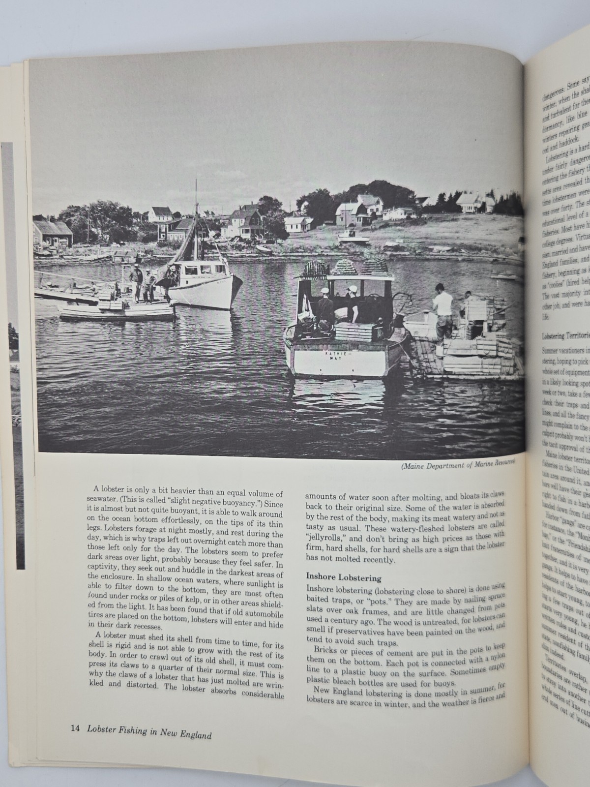 The World of the Small Commercial Fisherman Michael Meltzer 1980 Fishing Boats