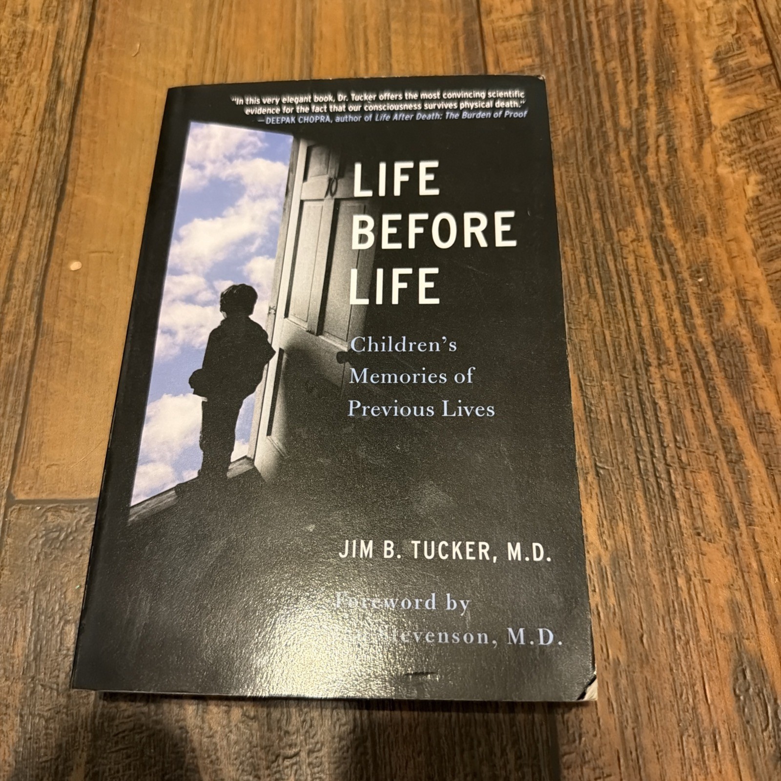 Life Before Life: Children’s Memories of Previous Lives – Paperback – GOOD