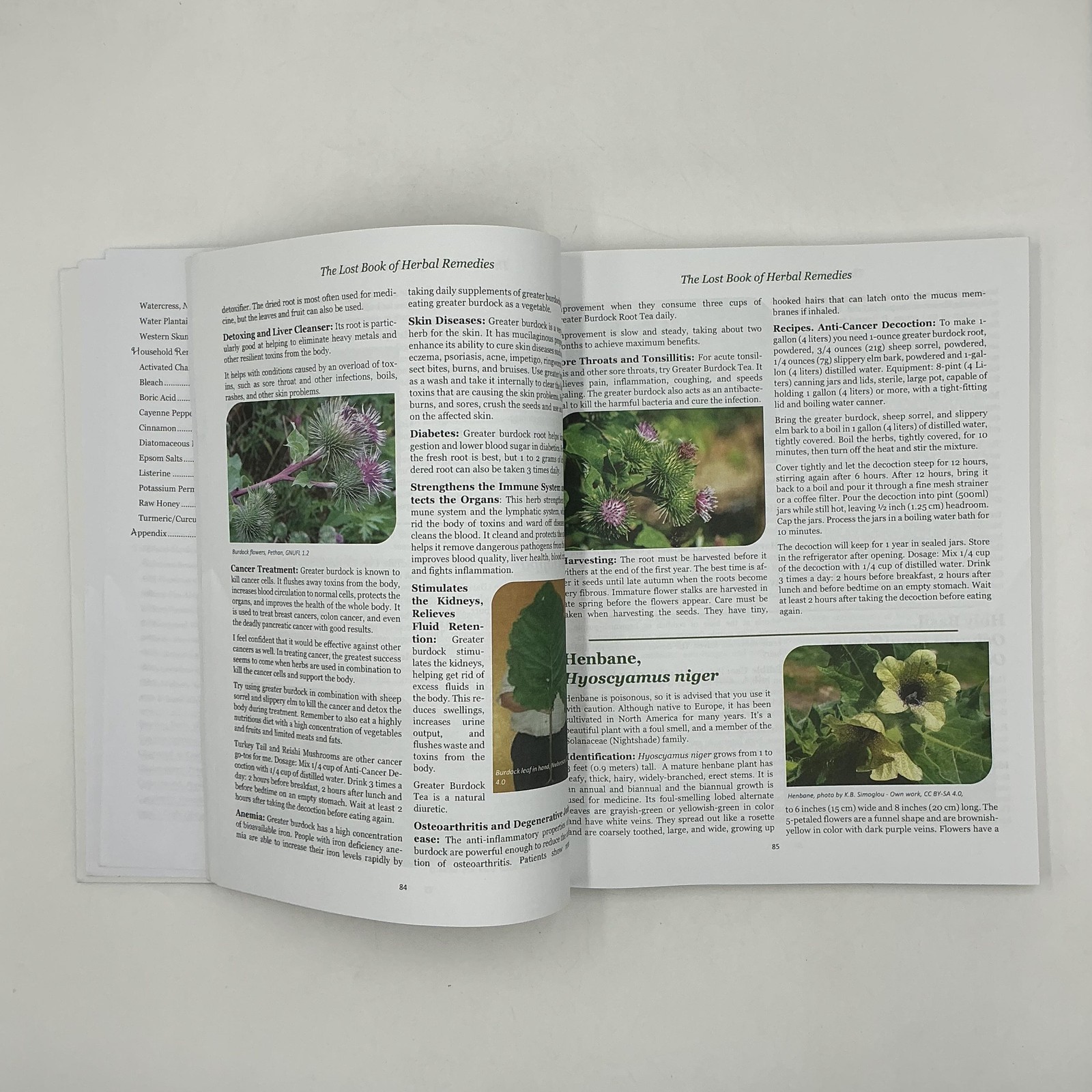 THE LOST BOOK OF HERBAL REMEDIES NICOLE APELIAN CLAUDE DAVIS 2021 PAPERBACK