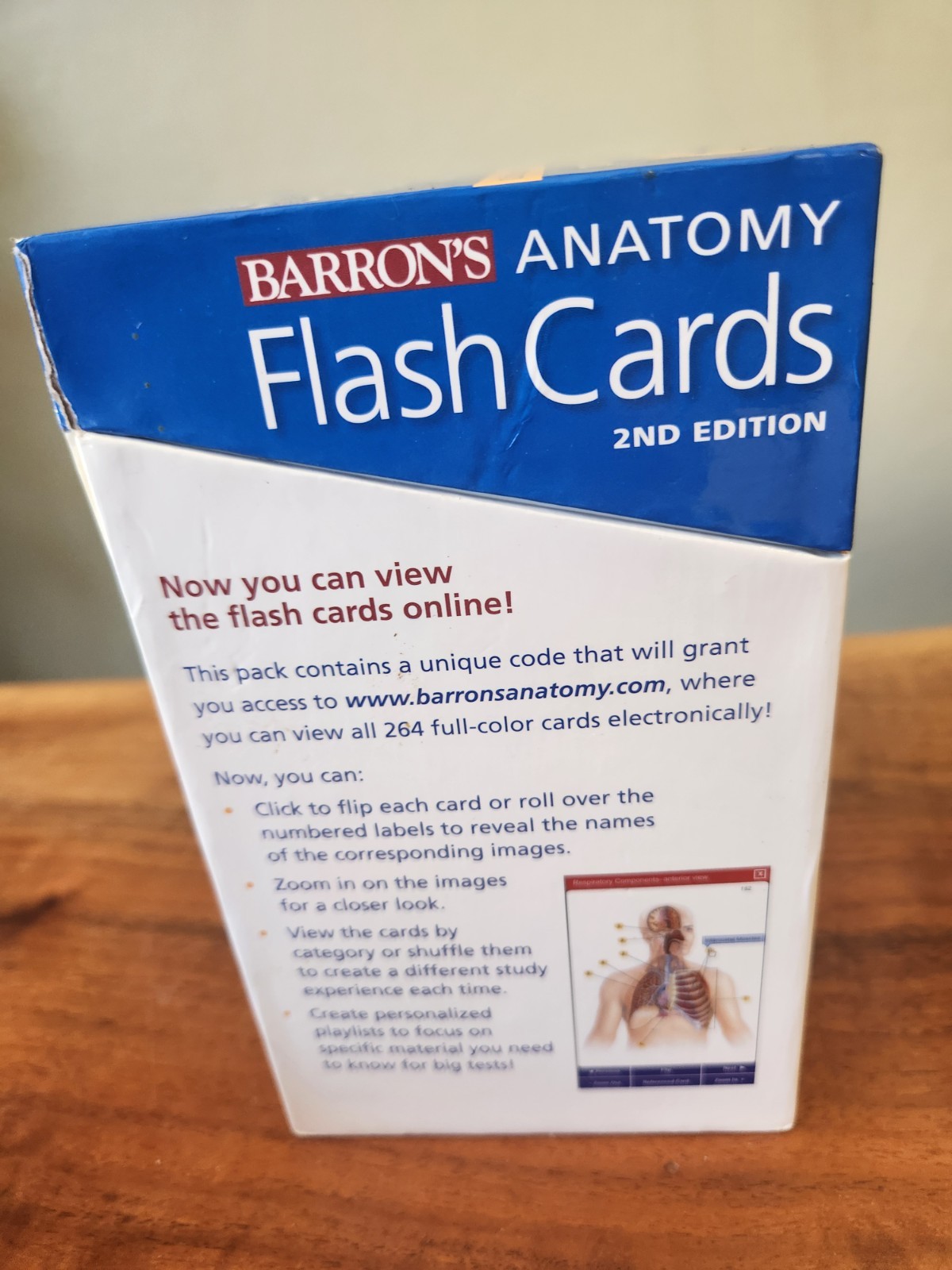 Barron’s Anatomy Flash Cards by Kurt Albertine (2008, Cards,Flash Cards)