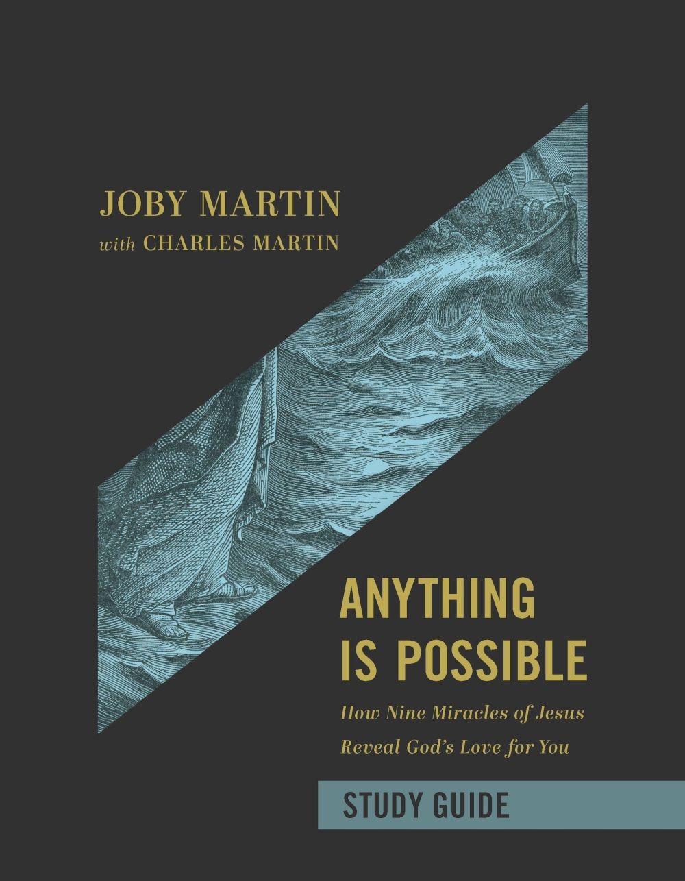 Anything Is Possible Study Guide: How Nine Miracles of Jesus Reveal God’ .. NEW