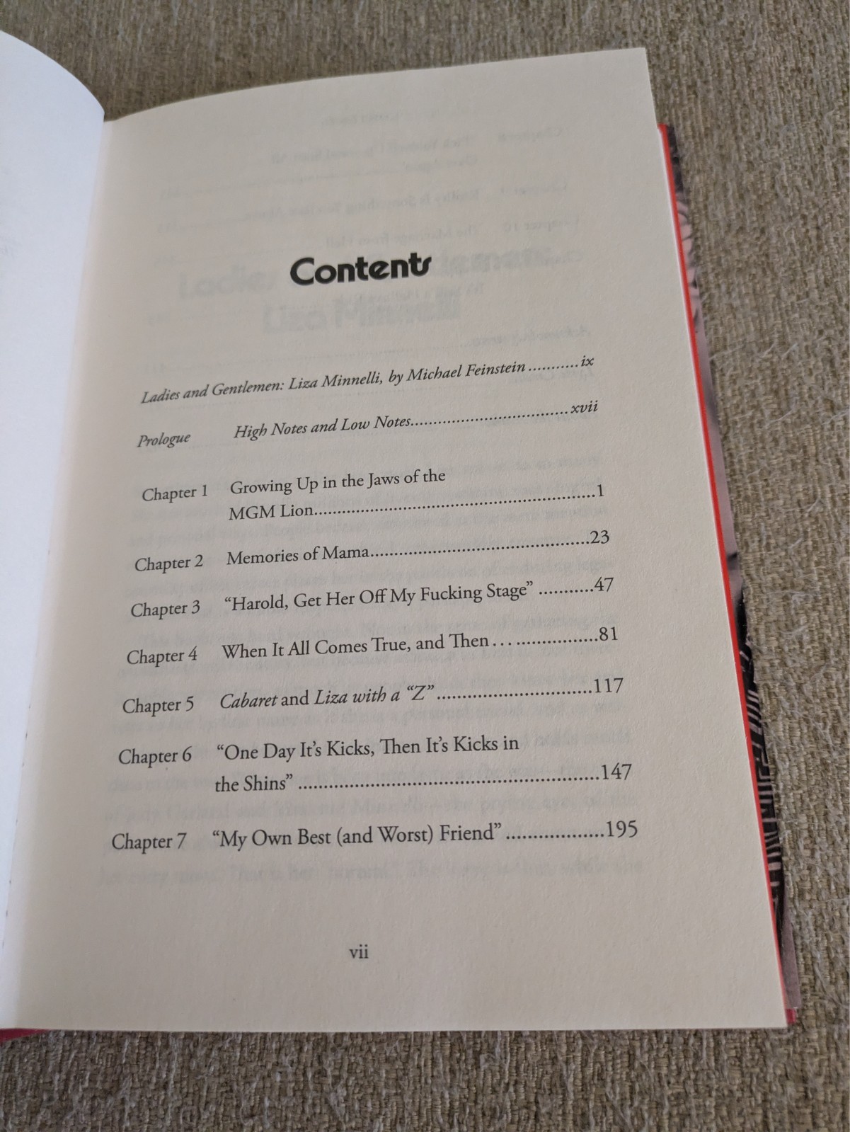 Kids, Wait Till You Hear This! | Liza Minnelli | 2026 Hardcover | HOW GRAND!
