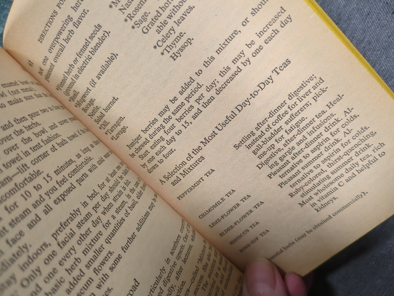 1967 Herbs Health & Cookery VTG Cookbook by Claire Loewenfeld & Phillipa Back PB