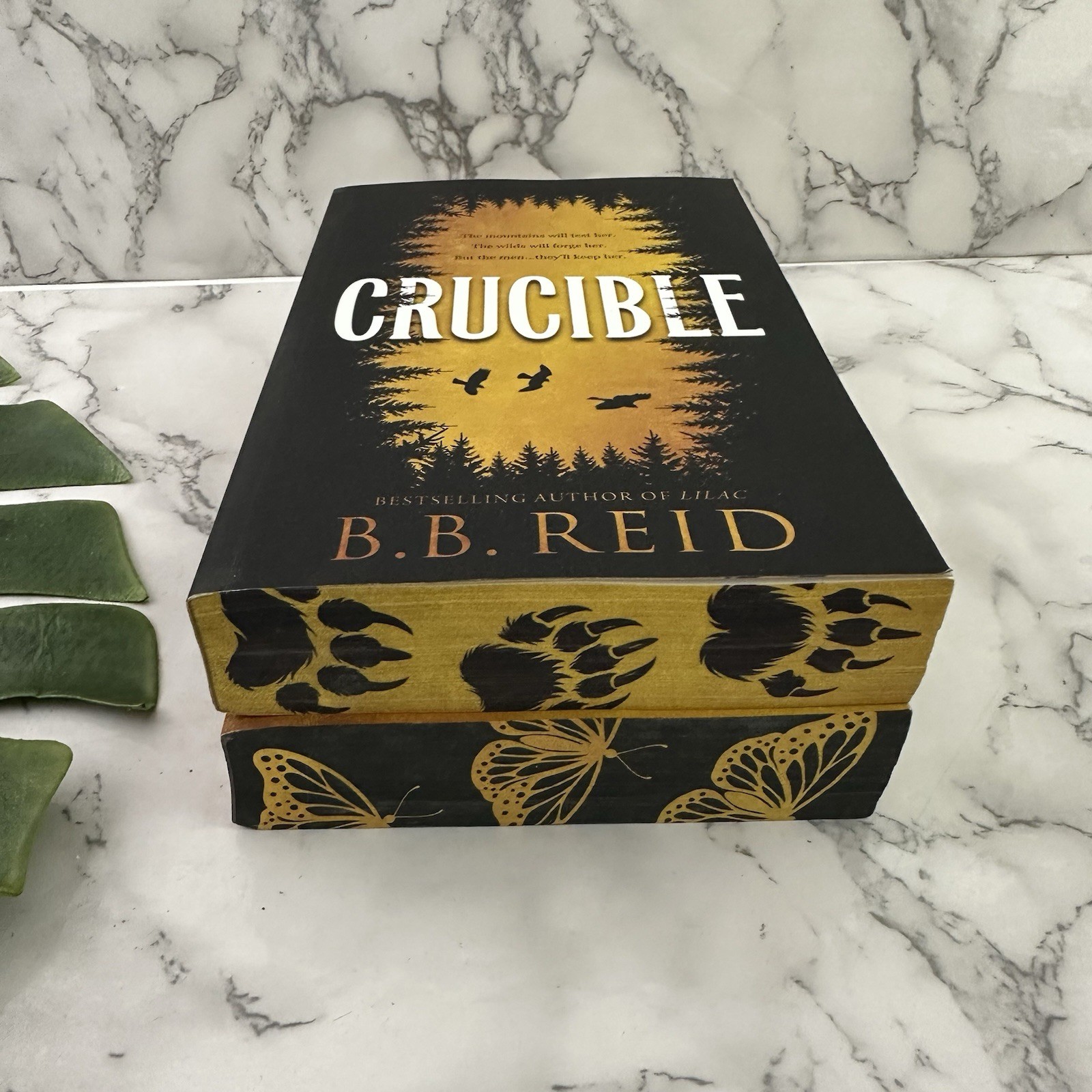 Men of the Wilds Series BB Reid Crucible Chrysalis Sprayed Edge Paperback Books
