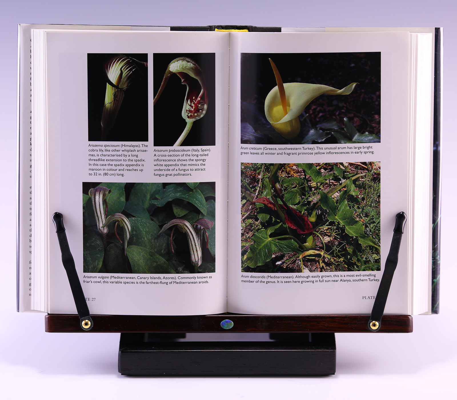 *Signed* Aroids: Plants of the Arum Family 2nd Ed by Deni Bown; G++/G++
