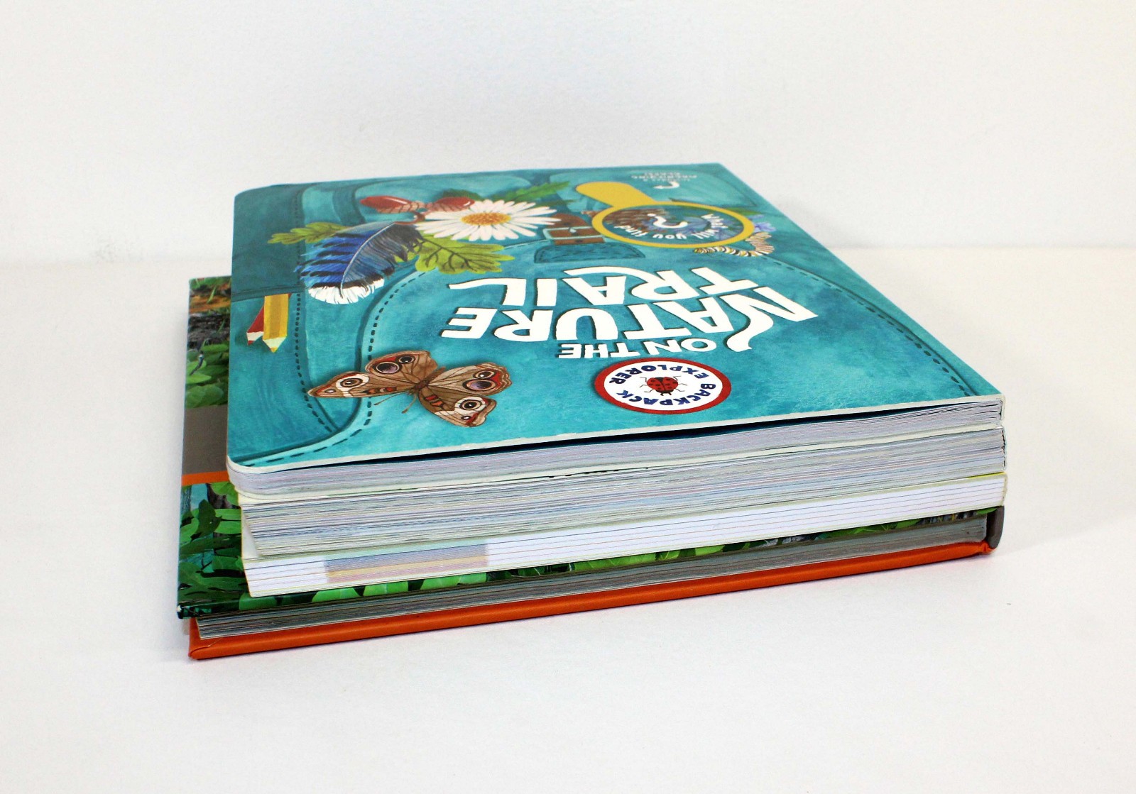 Kids Exploring Outdoors Nature Books Guides Activities Projects Mapping Tracking