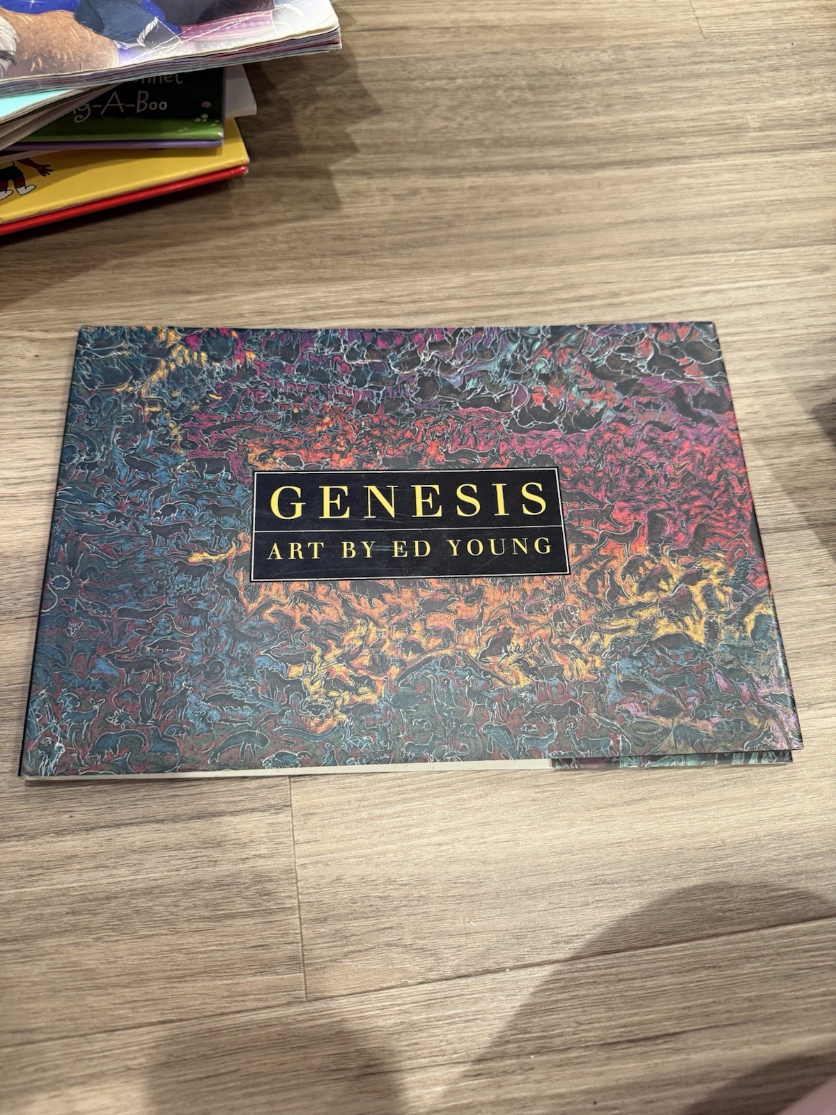 Genesis by Ed Young (1997, Hardcover)