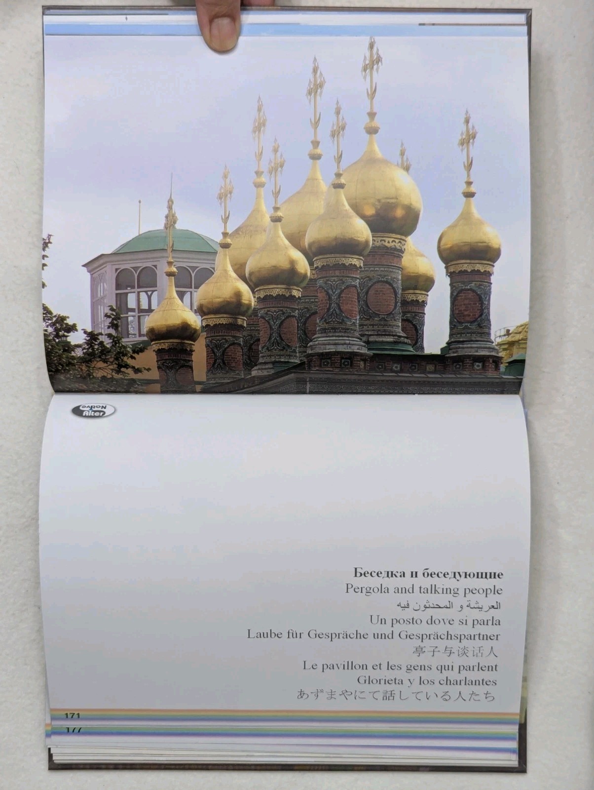 SPACE and the Shapes of the Kremlin / Kremlin Area Multilingual Hardcover