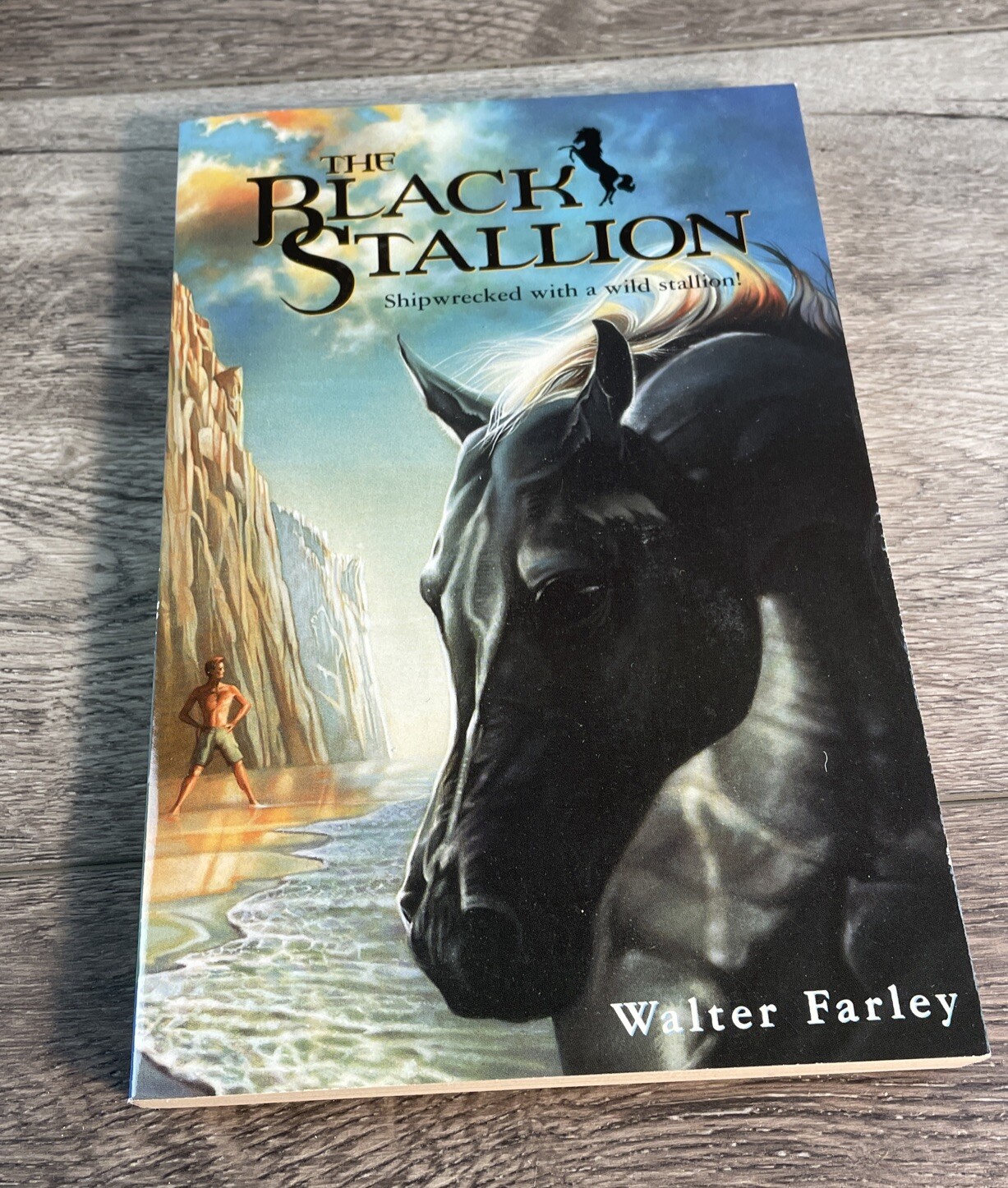 The Black stallion Book Lot of 5 Walter Farley Books Satan Flame Ghost Young