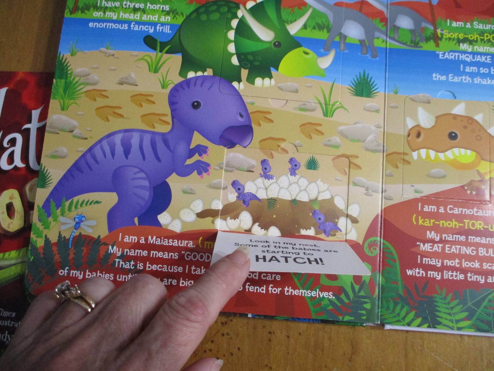 2-Kids Books Learn About Dinosaurs Lift The Flap & How To Catch a Dinosaur